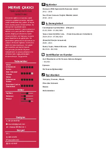 cv indir